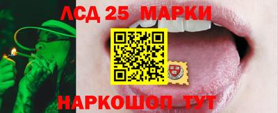 дмт Обнинск